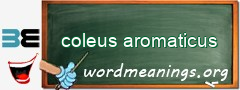WordMeaning blackboard for coleus aromaticus
